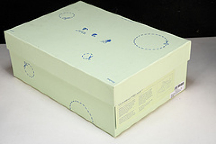 of sneakers 2307011
